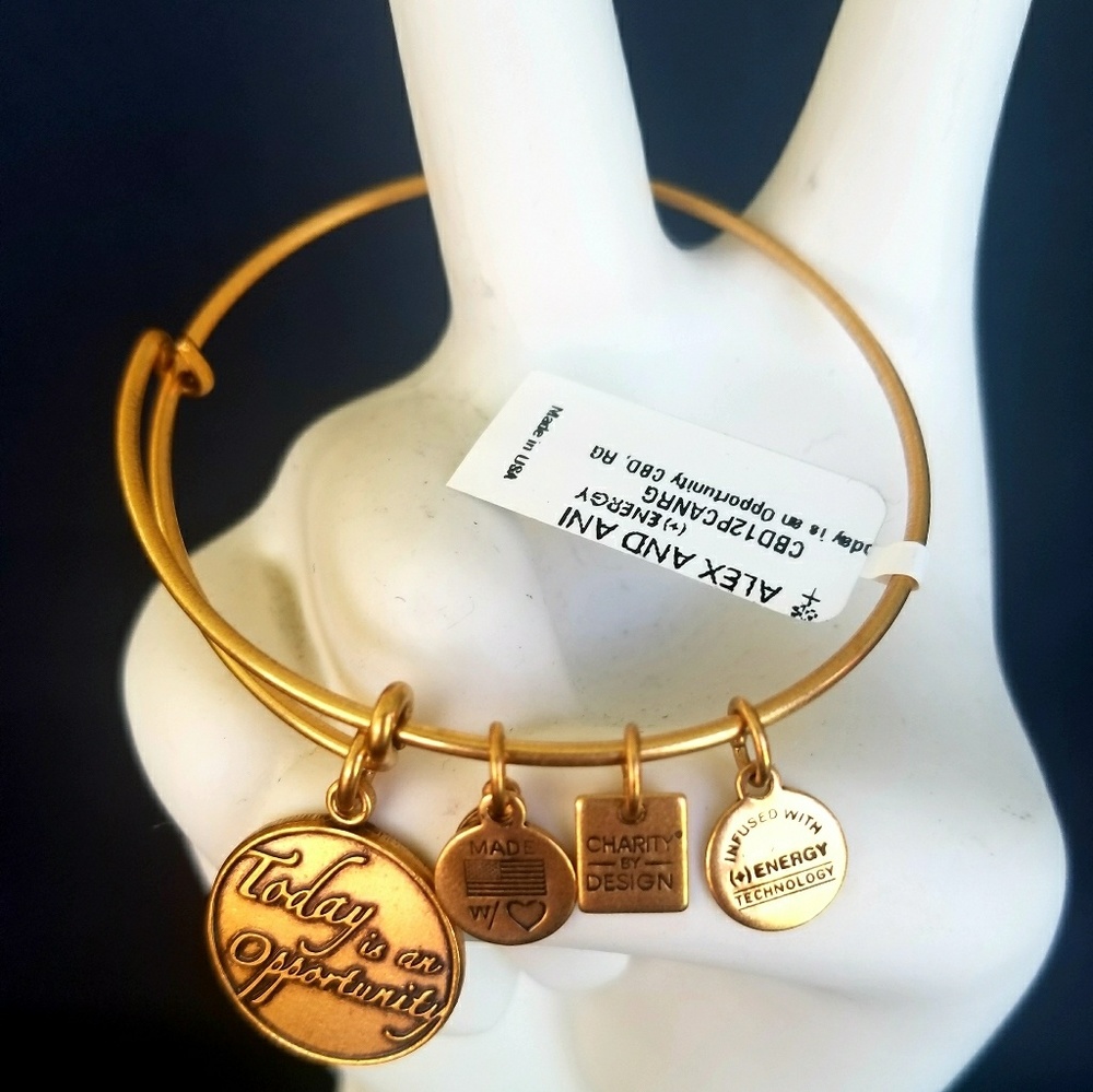 NWT Alex and Ani Today is an Opportunity Bracelet - Picture 2 of 5